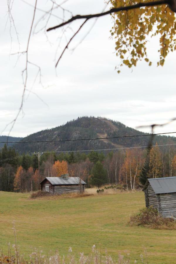 Backens Fjaellboende Tännäs Esterno foto