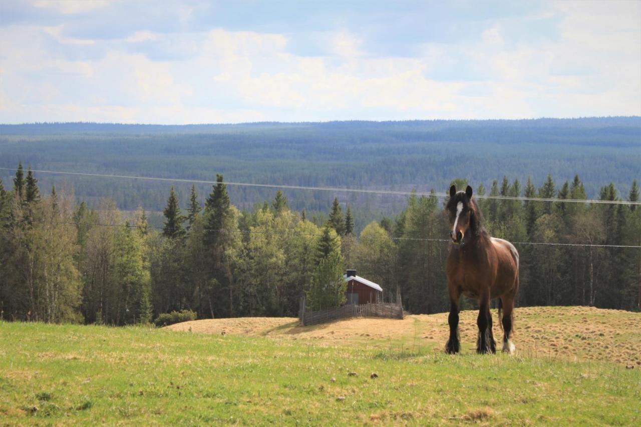 Backens Fjaellboende Tännäs Esterno foto